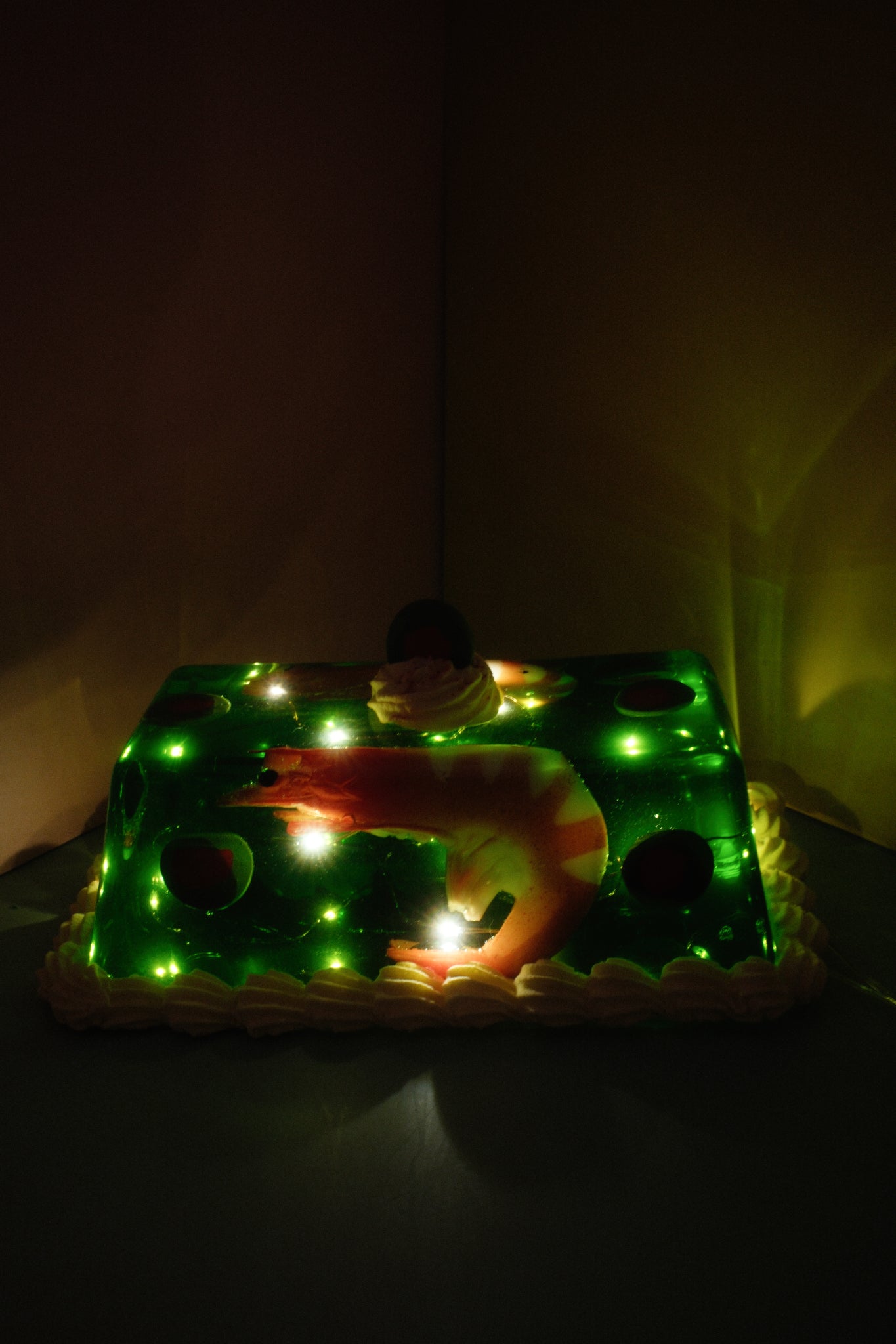 Rectangle Shrimp and Olive Light Up Jello