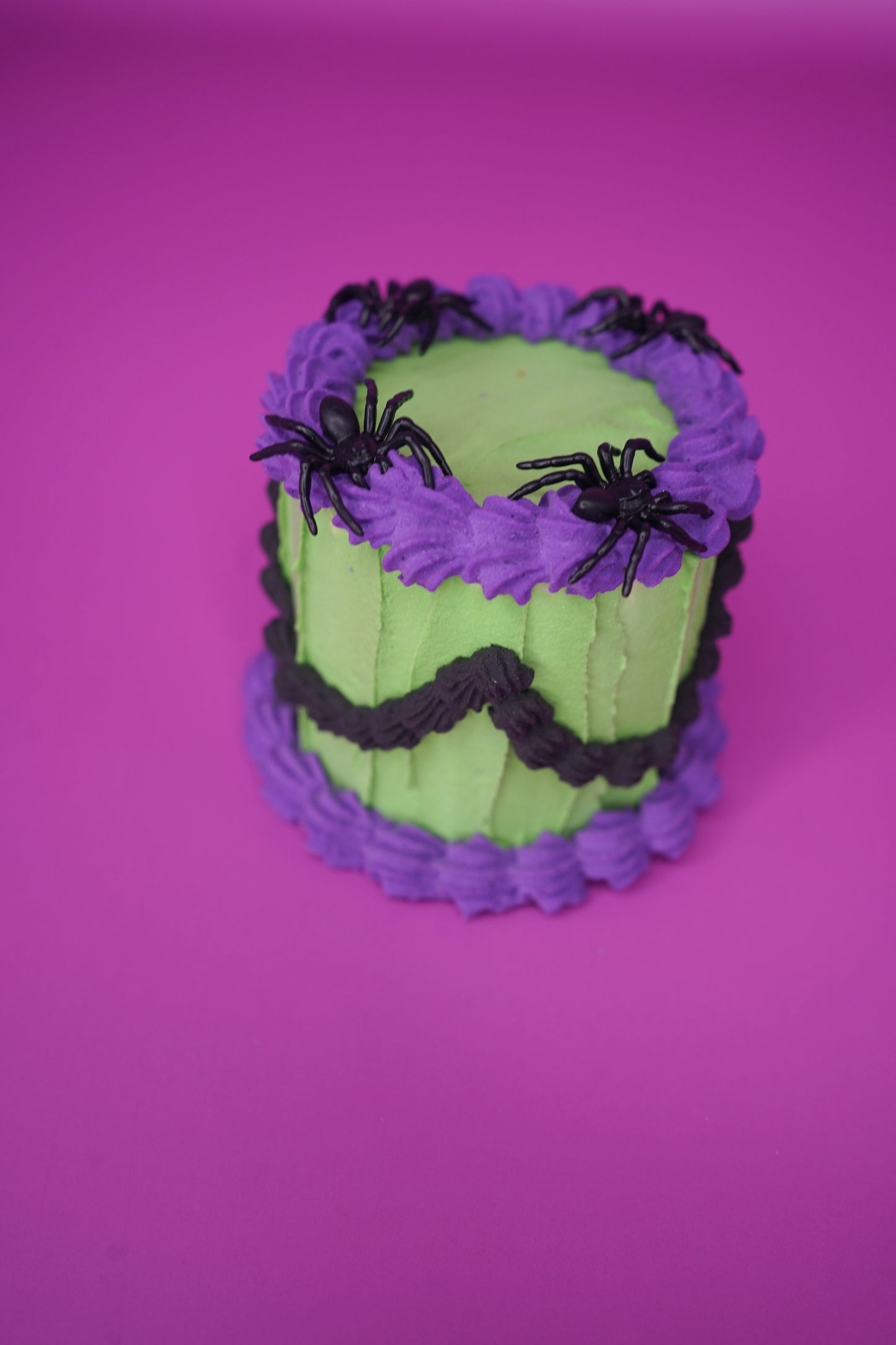 Little Spiders Mini Fake Cake